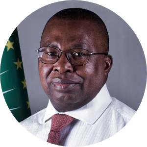 Albert Muchanga
Commissioner for Trade and Industry, African Union Commission