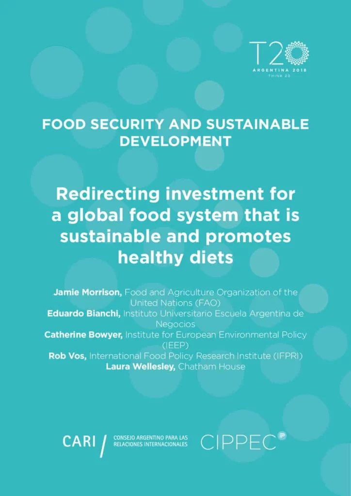 Redirecting investment for a global food system that is sustainable and ...