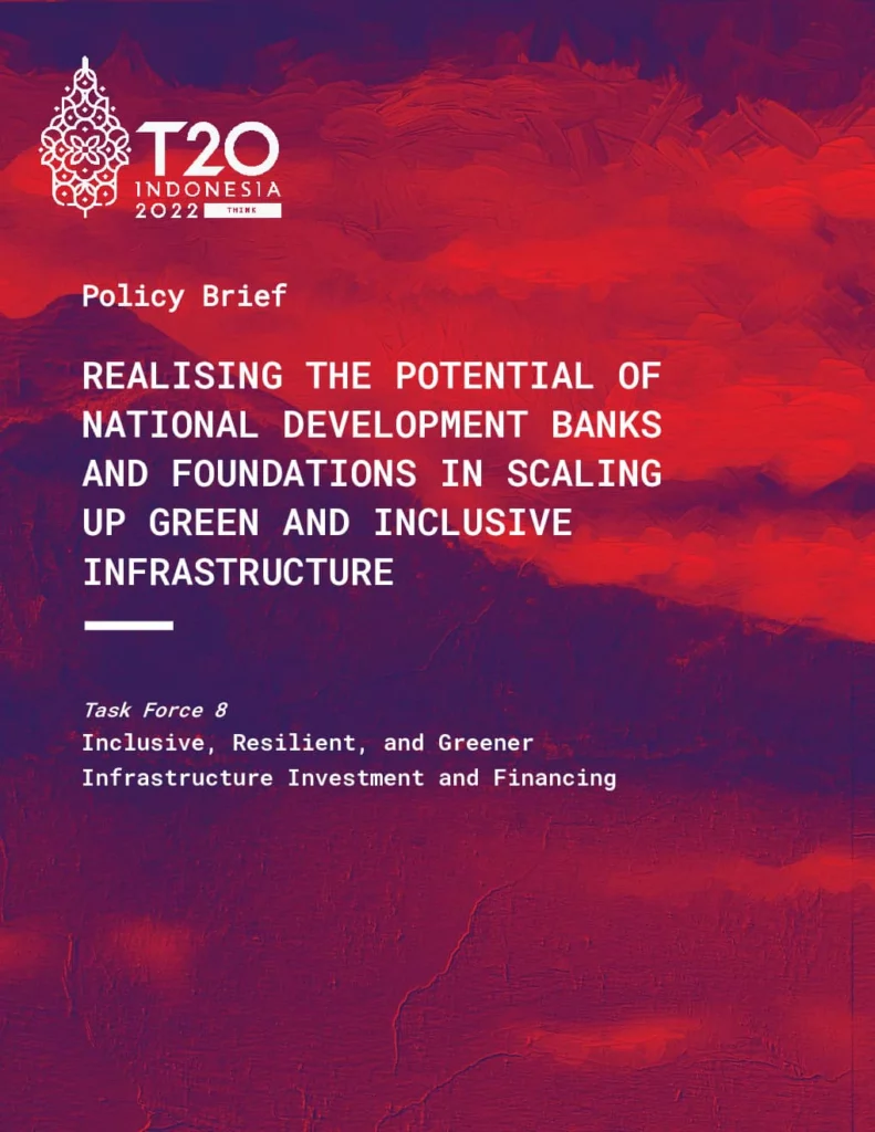 Realising The Potential Of National Development Banks And Foundations ...