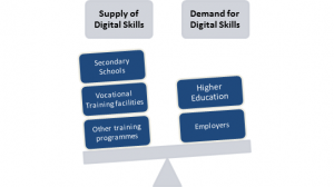 scale of demand and supply of digital skills